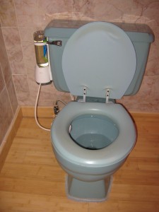 Automatic Toilet Bowl Cleaner in use
