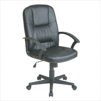 CSN Office Review: Executive Leather Chair & Maxell CD-Rs