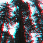 3-D Trees