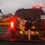 Things You See While Driving