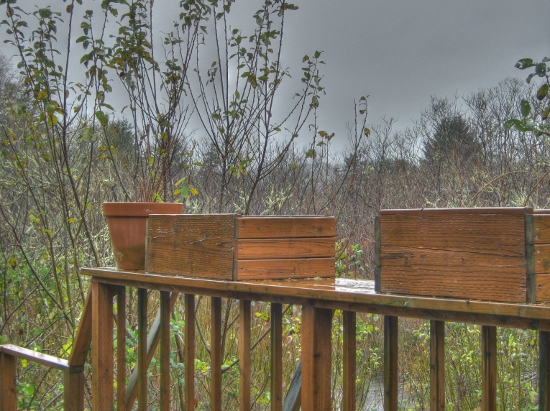 Backyard deck