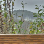 Fog