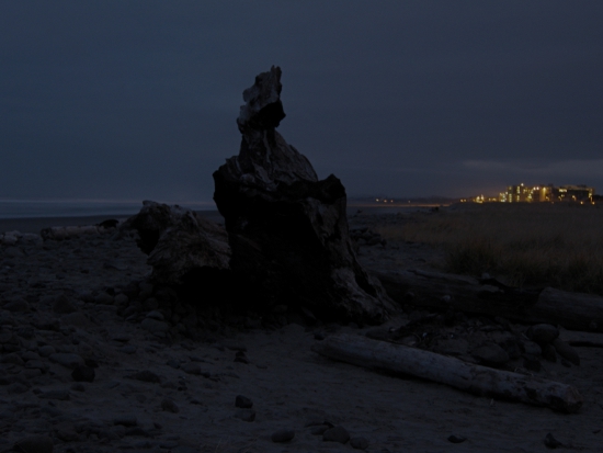 Driftwood at night