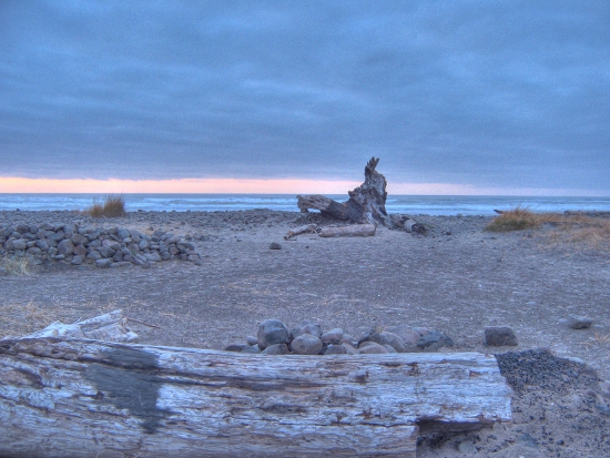 Driftwood and the setting sun