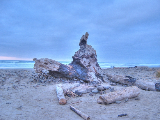 Driftwood