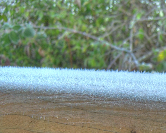 Close-up of the frost