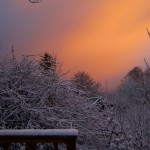 Snowy sunrise