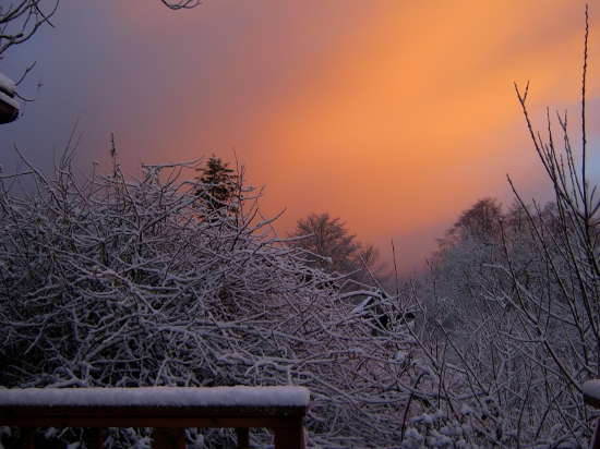 Snowy sunrise