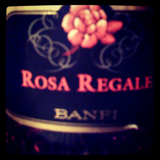 Rosa Regale