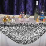Bachelorette Party Bar