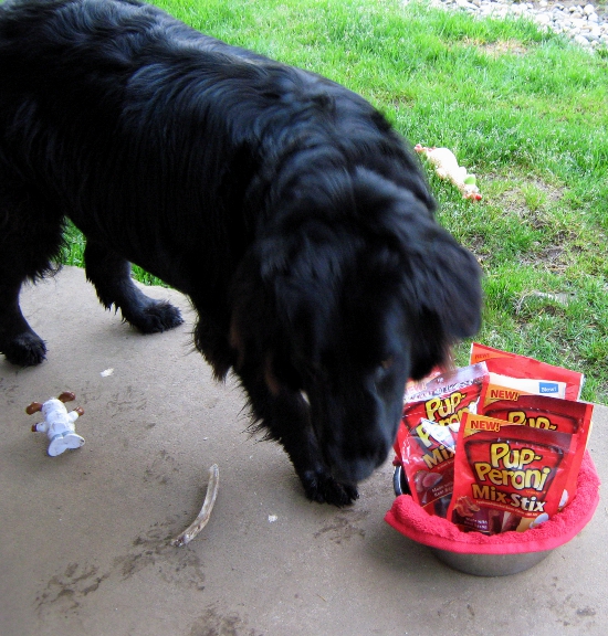 Mmm, Treats!