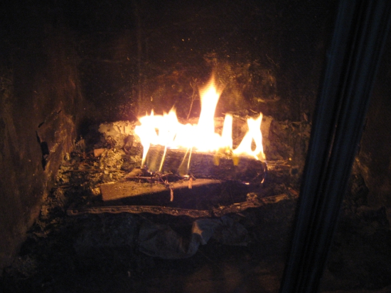 Duraflame Roasting Log