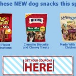 Coupon Offer