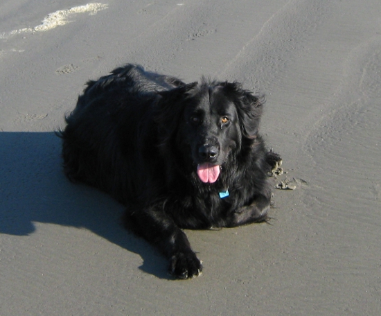 Bob at the beach!