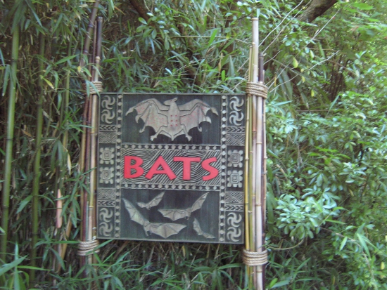 Bats