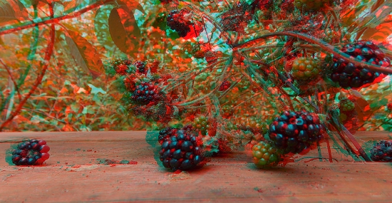 3-D Blackberries