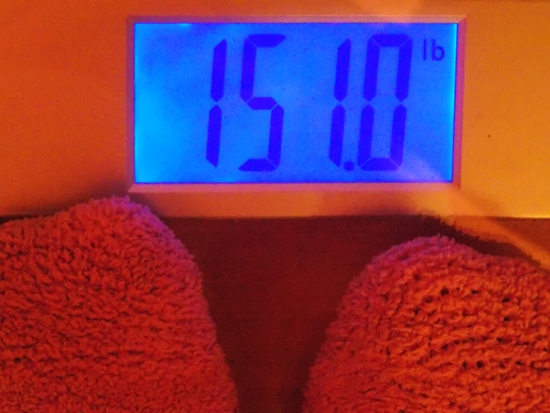 Beeb's Weight Week 11