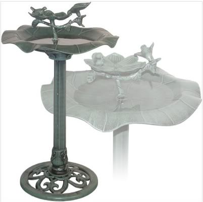 Alpine Bird Bath Review