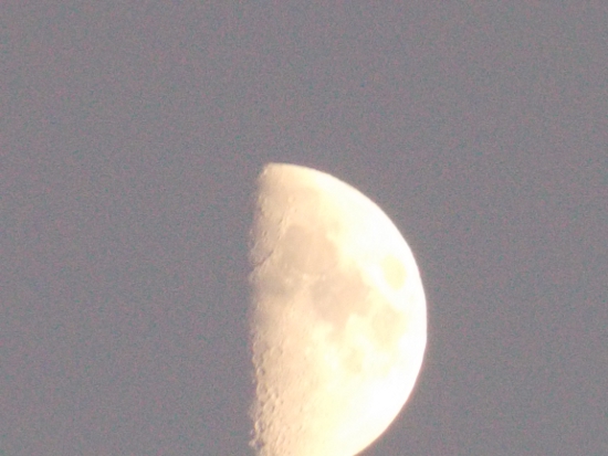 Moon