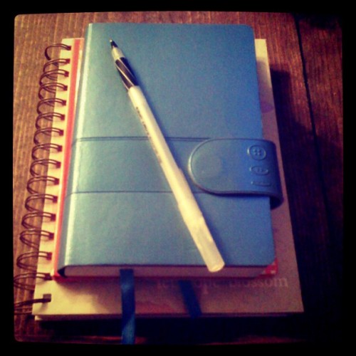 Setting Goals in 2012 – With a Life Coach?