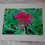 Photo printed with castle ink