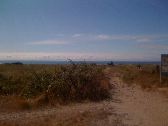 Clear skies at the beach