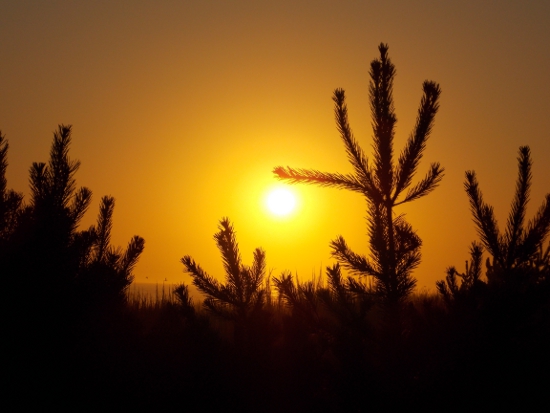 Wordless Wednesday: Tonight’s Sunset in Seaside, August 15th