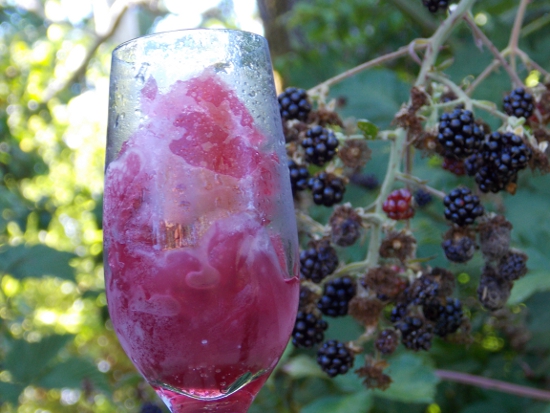Blackberry cocktail...and wild blackberries!