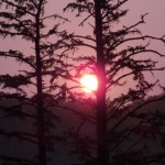 Dawn of a new day