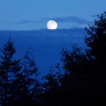 Nightfall