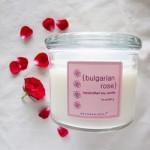 Bulgarian Rose