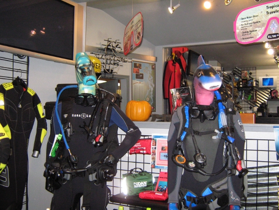 Wetsuits modeled by fish!