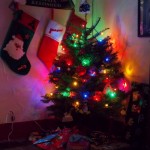 Merry Christmas 2012