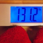 Beeb's Weigh-In - Week 33