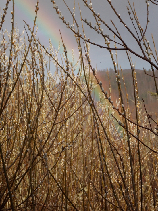 End of the rainbow