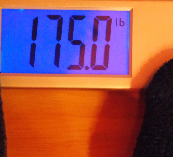 Jai's Weigh-In - Week 37