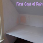 First Coat of Paint!