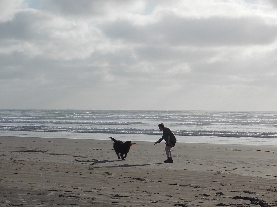 Bringing back the Frisbee