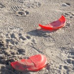 The Frisbee didn't last too long!