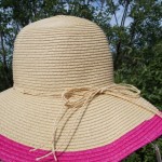 Tropical Trends