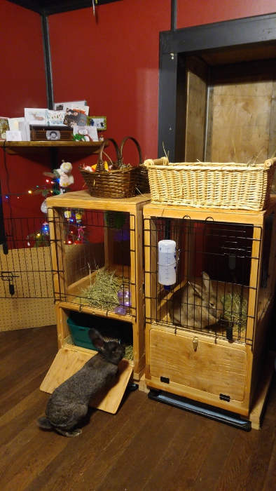 Custom rabbit hutches