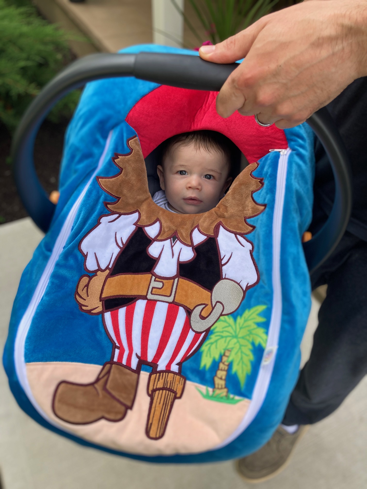 Car Seat Cuties Winner!