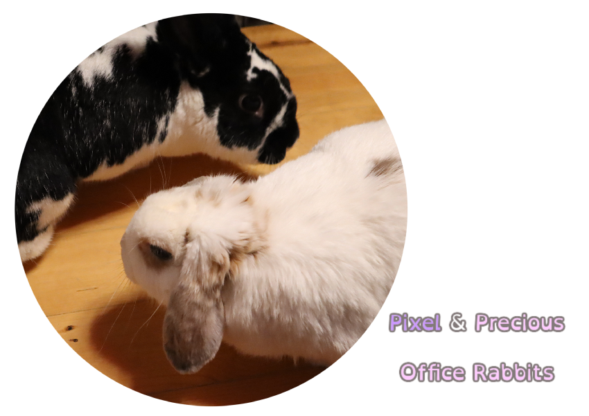 Pixel & Precious
