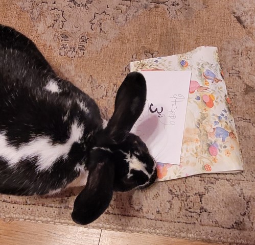 Pixel opens his present