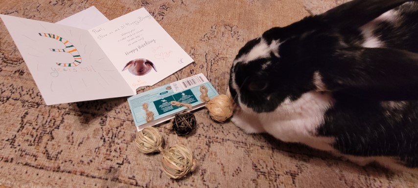 Pixel reads his card