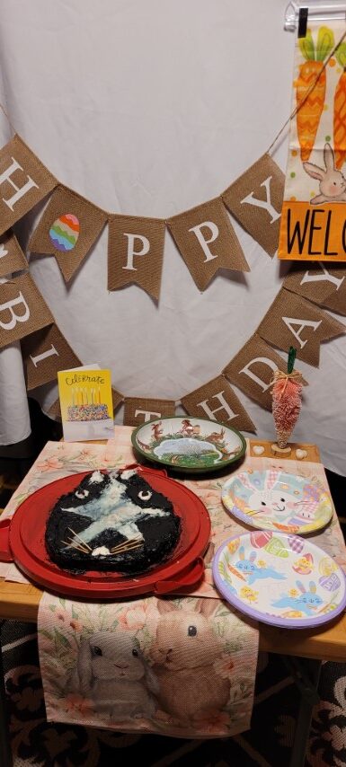 Wordless Wednesday: Pixel The Rabbit’s 3rd Birthday Party!