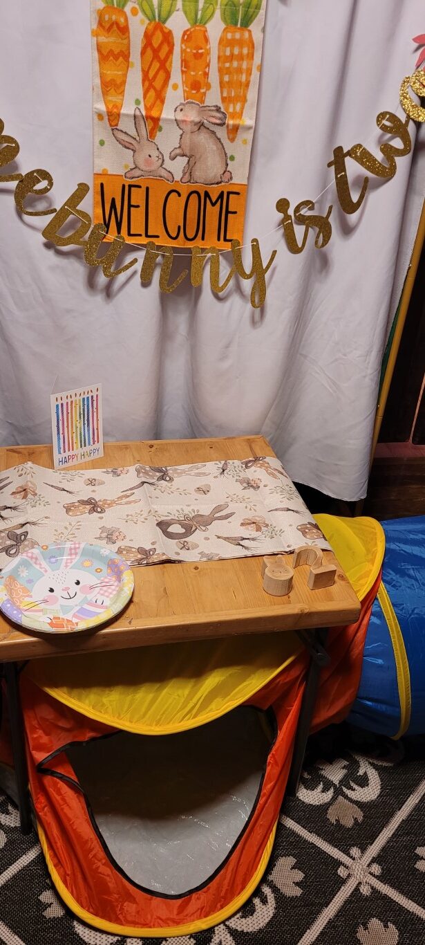 2nd birthday party setup