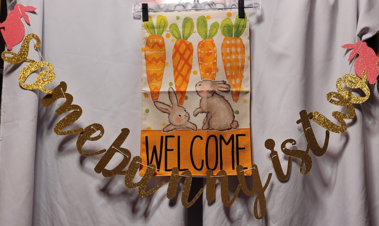 Wordless Wednesday: Precious The Bunny Turns 2!